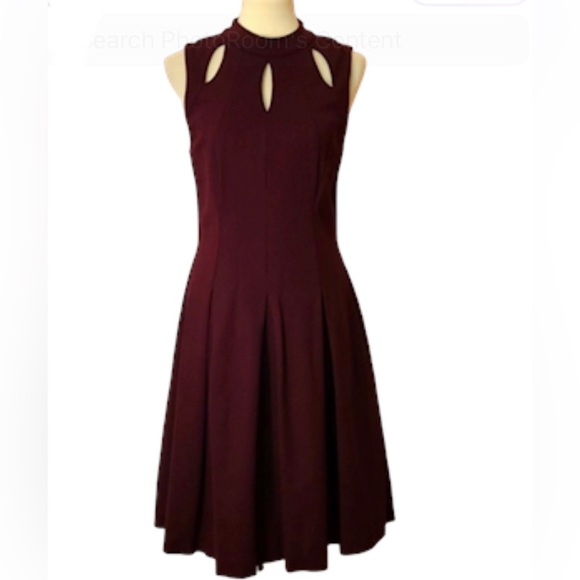 Alfani Dresses & Skirts - Alfani Burgundy sleeveless fit and flare high quality dress Women’s Plus Size 16